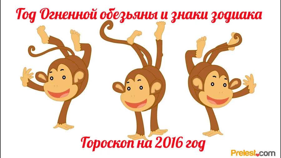 Овен гороскоп на 2016 год Обезьяны: любовь, здоровье, карьера картинки Овен гороскоп на 2016 год Обезьяны: любовь, здоровье, карьера картинки